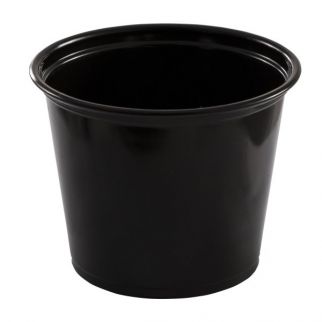 Empress Plastic Portion Cup Case Of 2,500