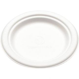 Bridge-Gate 6 In. White Bagasse Plate (1000-Case)